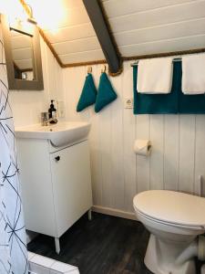 ein Badezimmer mit einer weißen Toilette und einem Waschbecken in der Unterkunft Ferienhaus Vogelkoje in Emmelsbüll-Horsbüll