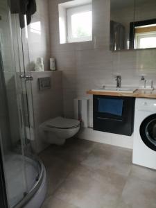 a bathroom with a toilet and a sink and a shower at Domek Ostoja rodzinna u Grzybka in Nadole