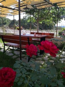 Imagen de la galería de Къща за гости Под ОРЕХА, en Pismenovo