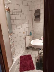 a small bathroom with a sink and a shower at Ferienwohnung Rickyy in Reichenbach im Vogtland
