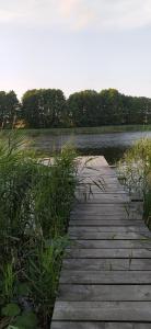 Příroda nedaleko venkovského domu