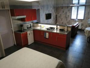 une petite cuisine avec des placards rouges et un four micro-ondes dans l'établissement Ideal pour un couple a la recherche du calme, à Frontignan