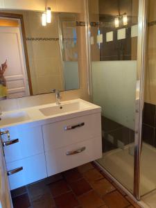 a bathroom with a sink and a shower at Plein Ciel Vue Bassin in Arcachon