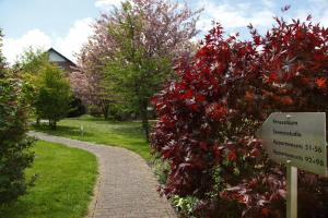 Zahrada ubytování Posthotel Usseln
