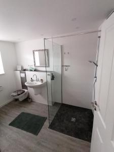 a bathroom with a glass shower and a sink at Sharky Ferienwohnung in Bahnhofsnähe in Niebüll