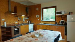Kuchyň nebo kuchyňský kout v ubytování Apartmány Pod Lesem