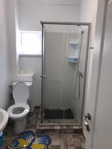 a bathroom with a shower with a toilet and a sink at Pensiunea Rares in Creţeşti