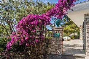 a bunch of purple flowers on a fence at Villa Arabella in Capri