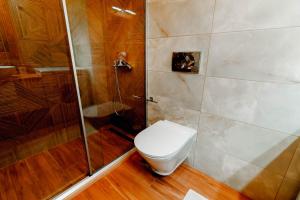 a bathroom with a toilet and a shower at Zorbas Apartments in Parga