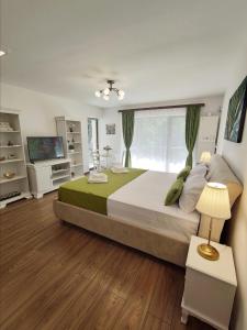 a bedroom with a large bed and a television at Green Studio in Predeal