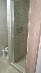 a glass shower in a bathroom with a toilet at Galesic Apartments & Rooms in Korenica +25 photos