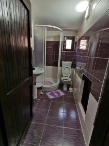 uma casa de banho com um chuveiro, um WC e um lavatório. em Apartman Jaredić - Private Accommodation, Privatni Smeštaj em Donji Milanovac