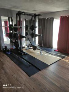 Posilňovňa alebo fitness centrum v ubytovaní Villa Ventula
