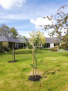 En hage utenfor Applecroft House