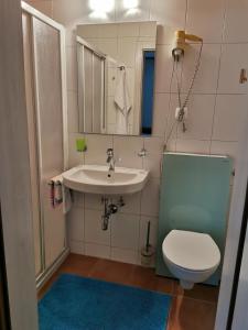 A bathroom at Pension Tannheim