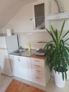 Dapur atau dapur kecil di Apartment Loft