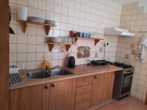 a kitchen with a sink and a stove at Apartmán Chiarita in Nemšová