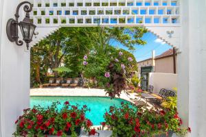 a view of a swimming pool from a patio with flowers at The Kenwood Inn Bed and Breakfast in Saint Augustine