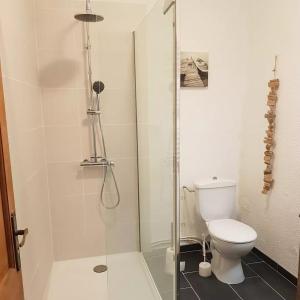 een badkamer met een douche en een toilet bij La Grangette Grange rénovée 100m2 terrasse privative,10 min mer in Villeveyrac