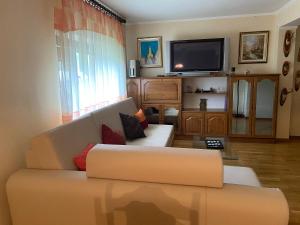 a living room with a couch and a flat screen tv at Apartment Tody's in Fužine