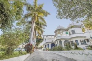 a palm tree in front of a white house at Devendragarh Palace - Luxury Paying Guest House in Udaipur