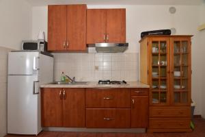 Ett kök eller pentry på Apartments Dobrinic