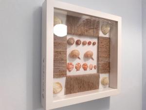 a shelf with different types of shells on a wall at I Velieri in Cesenatico