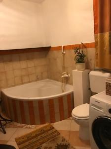 Salle de bains dans l'établissement Lavanda