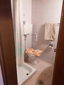 a bathroom with a toilet and a shower at Pension Ederhof in San Giacomo