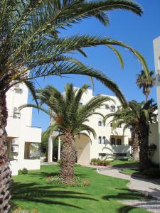 una palmera frente a un edificio en Clube Alvorférias, en Alvor