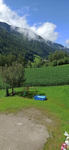a playground in a field next to a vineyard at Pension Ederhof in San Giacomo