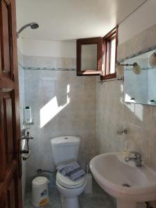 een badkamer met een toilet en een wastafel bij Kalliopis Studio in Olympos