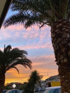 un groupe de palmiers devant un coucher de soleil dans l'établissement Hotel Vallisdea, à Sala Consilina