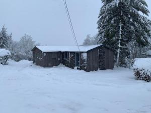 Chalet des Campanules avec Sauna v zimě