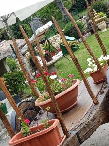 Zahrada ubytování Casa Cabaleira