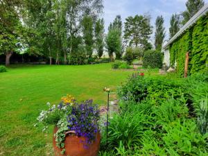 a garden with a bunch of flowers in a yard at La Flandre entre plaine, mer et marais in Rubrouck