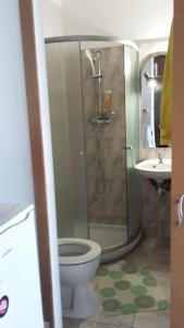 ブカレストにあるCalea Victoriei Studioのバスルーム(シャワー、トイレ、洗面台付)