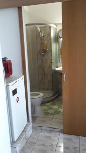 ブカレストにあるCalea Victoriei Studioのバスルーム(シャワー、トイレ、洗面台付)