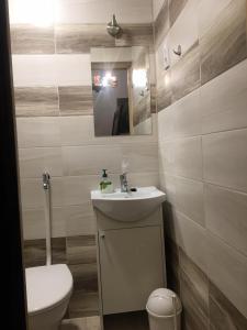 y baño con lavabo, aseo y espejo. en Vén Diófa Kúria, en Balaton