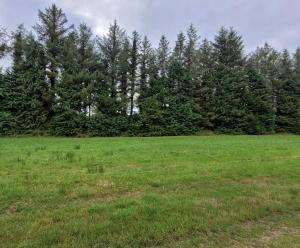 Peisaj natural din apropierea acestui apartament