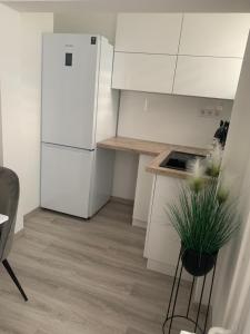 Kuchyňa alebo kuchynka v ubytovaní D&V Apartman