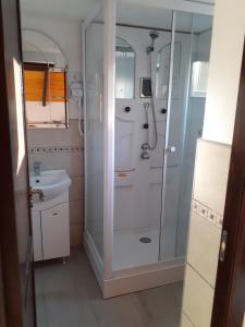 a bathroom with a shower and a sink at Pensiunea Natura Sadu in Sibiu +100 photos