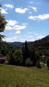 Příroda nedaleko apartmánu