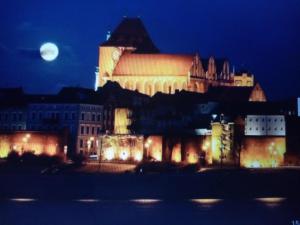 Fotografia z galérie ubytovania ART - MODERN / OLD TOWN - APARTAMENT Toruni