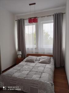 um quarto com uma cama e uma janela em Apartament Wanessa em Ketrzyn