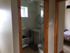 a bathroom with a shower and a toilet and a sink at The Homer in Kilmuir