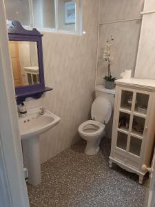 a bathroom with a toilet and a sink and a mirror at Railway Bar Accommodation in Poyntz Pass