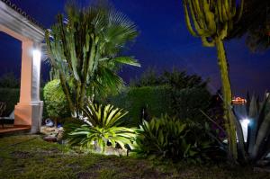 Ogród w obiekcie Villa Bendex Estepona Costa Del Sol