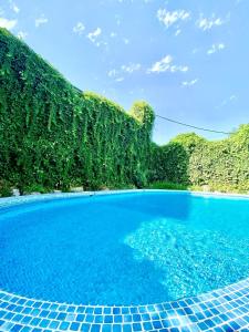 Ridon Lux Hotel في طشقند: مسبح بمياه زرقاء واشجار خضراء