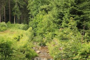 Fotografia z galérie ubytovania Chata Větrník u Černého dolu v Krkonoších v destinácii Lauterwasser